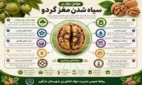 عوامل موثر بر سیاه شدن مغز گردو